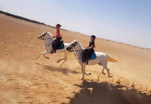 Horse riding  tour -  2 hours ( Private Tour )